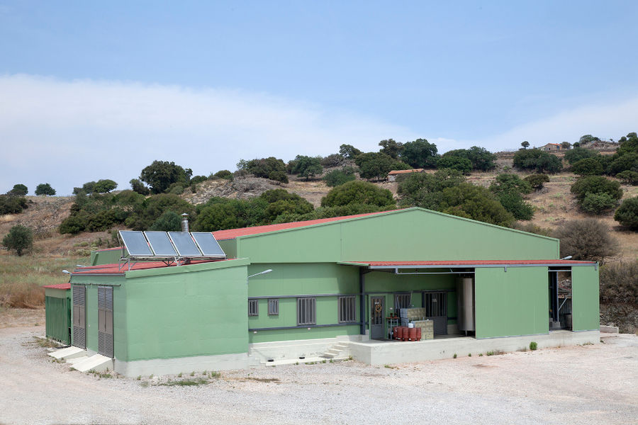 front view of 'Mystakelli Dairy' building plant and trees in the background